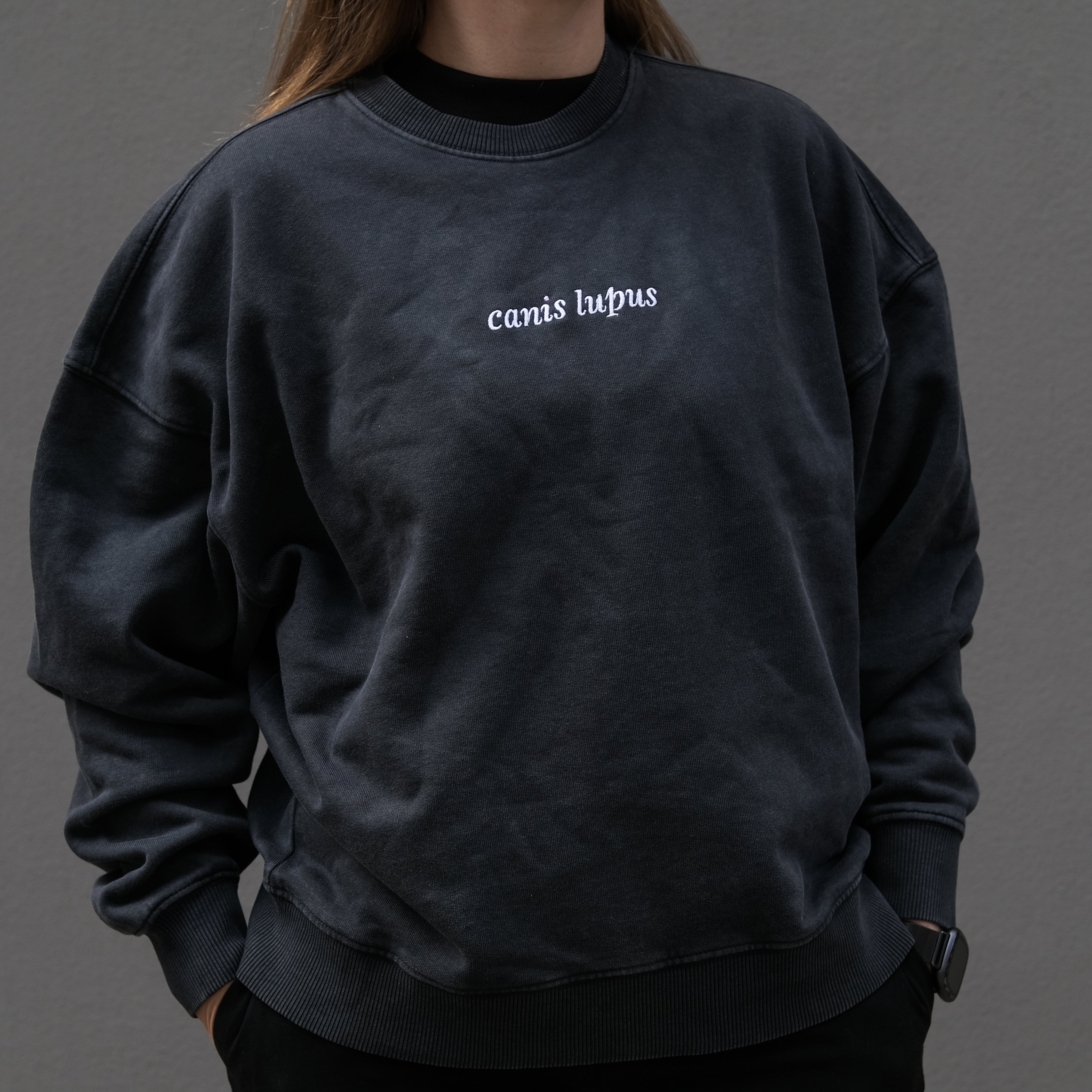 Genser ulv - canis lupus