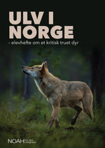 Last inn bildet i Galleri-visningsprogrammet, Ulv i Norge – elevhefte om et kritisk truet dyr (Kun for skoler)
