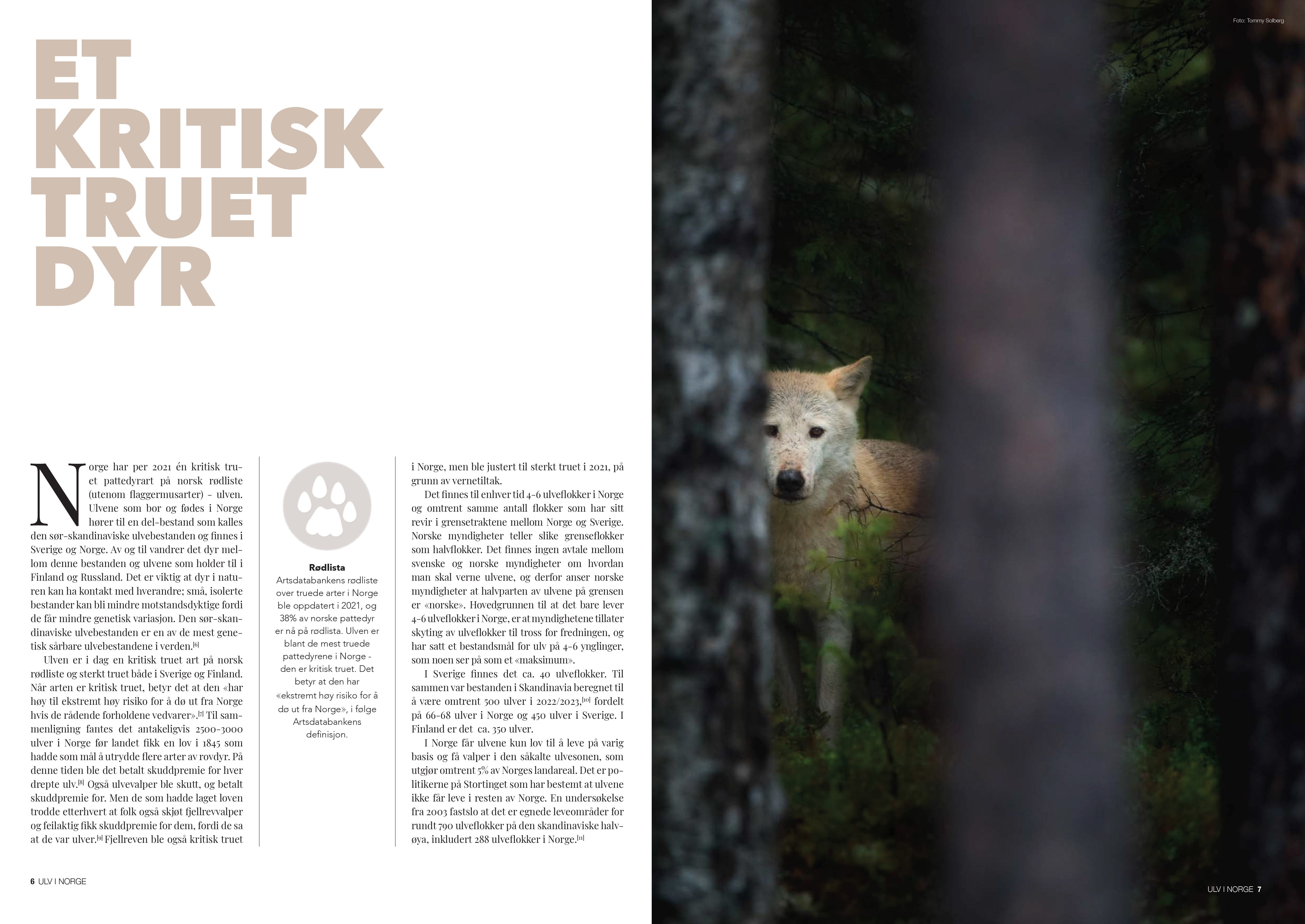 Ulv i Norge – elevhefte om et kritisk truet dyr (Kun for skoler)