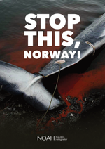 Last inn bildet i Galleri-visningsprogrammet, Plakater

