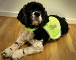 Last inn bildet i Galleri-visningsprogrammet, Refleksvest for hund
