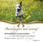 Last inn bildet i Galleri-visningsprogrammet, Pengegavekort med bilde av en hund som løper i blomstereng
