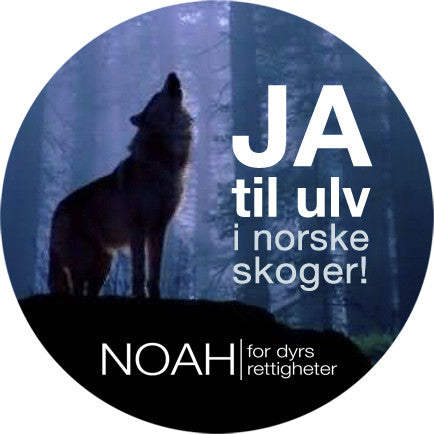 Liten button med bilde av en ulv og teksten: "JA til ulv i norske skoger!"