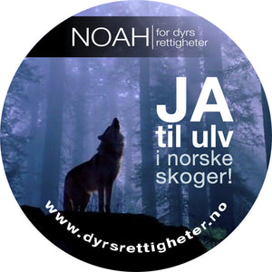 Stor button med bilde av en ulv og teksten: "JA til ulv i norske skoger!"