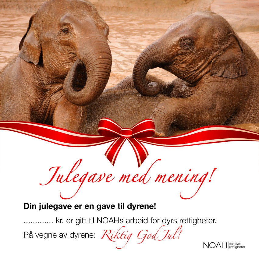 Julegavekort med bilde av to elefanter og teksten: "Julegave med mening! Din julegave er en julegave til dyrene! ... kr er gitt til NOAHs arbeid for dyrs rettigheter. På vegne av dyrene: Riktig god jul!"