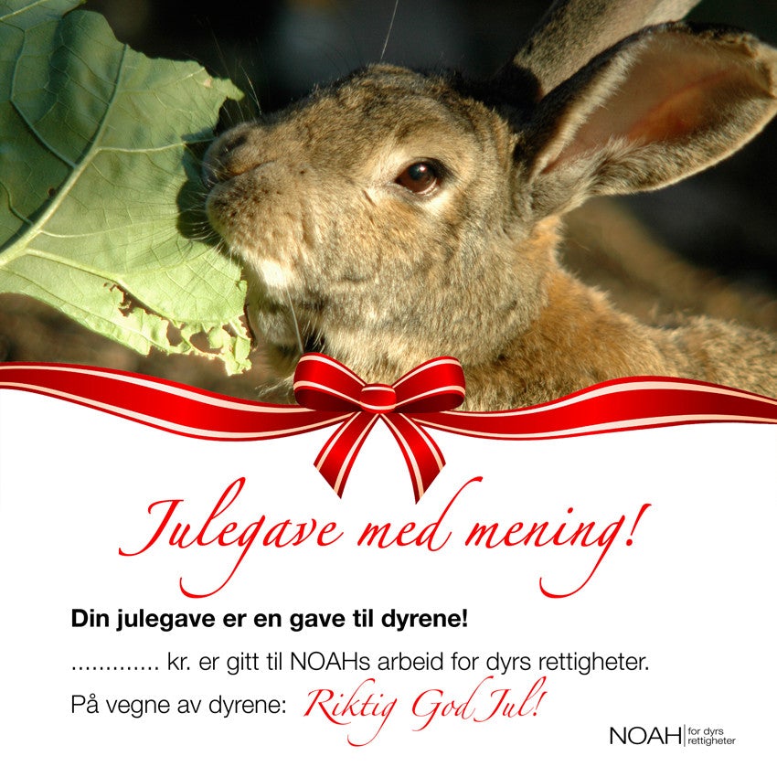 Julegavekort med bilde av en kanin og teksten: "Julegave med mening! Din julegave er en julegave til dyrene! ... kr er gitt til NOAHs arbeid for dyrs rettigheter. På vegne av dyrene: Riktig god jul!"