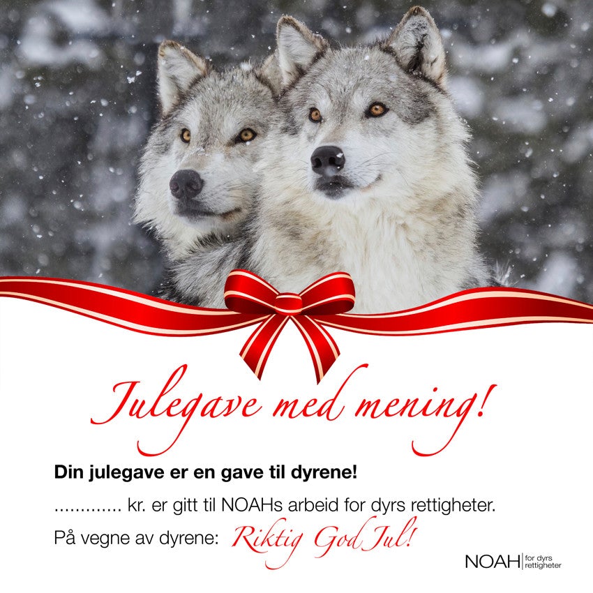 Julegavekort med bilde av to ulver og teksten: "Julegave med mening! Din julegave er en julegave til dyrene! ... kr er gitt til NOAHs arbeid for dyrs rettigheter. På vegne av dyrene: Riktig god jul!"