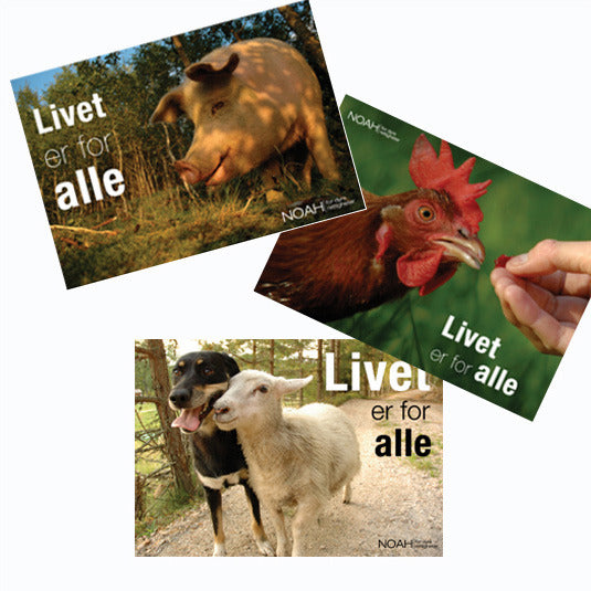 Tre kort med motivene gris, høne og sau med hund og teksten "Livet er for alle"