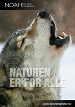 Last inn bildet i Galleri-visningsprogrammet, Plakater
