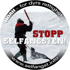 Button med bilde av en selfanger med hakapik som er i ferd med å ta livet av en sel. Tekst: "Stopp selfangsten!"