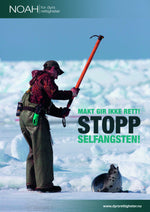 Last inn bildet i Galleri-visningsprogrammet, Plakater
